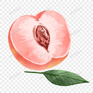 WWW,av177·COM网站APPAPP应用